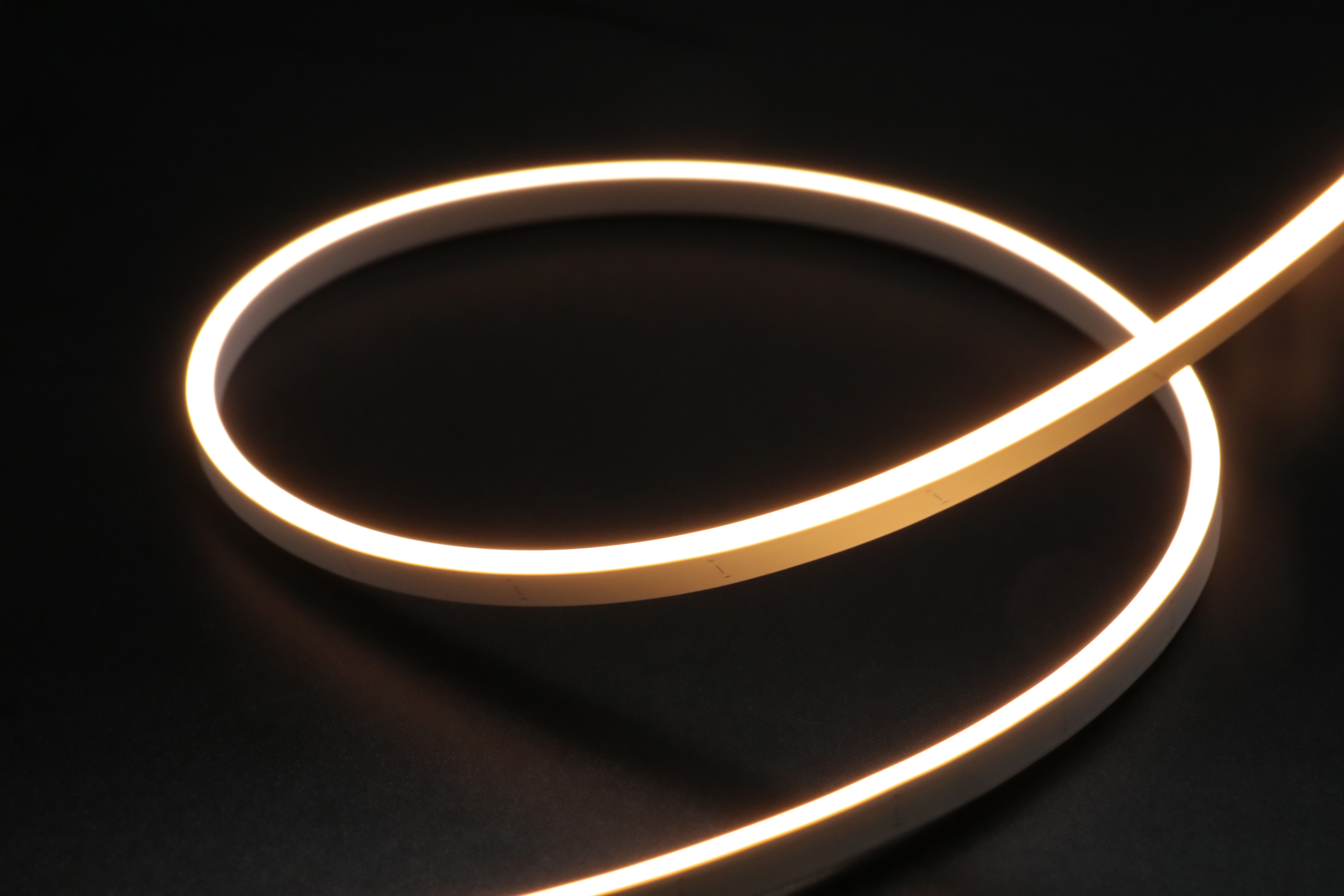 LINIO NEON 0306X SV (IP65)